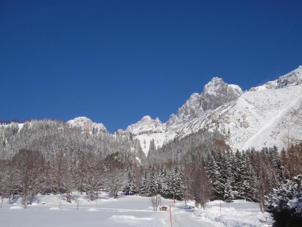 Hotel Gasthof Edelbrunn Ramsau am Dachstein Zewnętrze zdjęcie