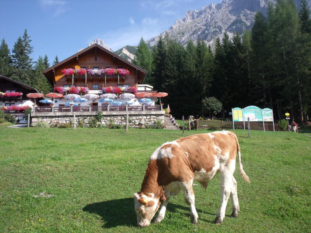 Hotel Gasthof Edelbrunn Ramsau am Dachstein Zewnętrze zdjęcie